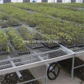 Seedling Bed Mesh- Galvanized Welded Mesh Sheets